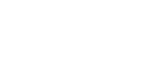 leeuwslots.