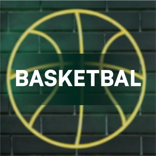 Ontdek de beste basketbalopties en odds op de TrueLuck-website.