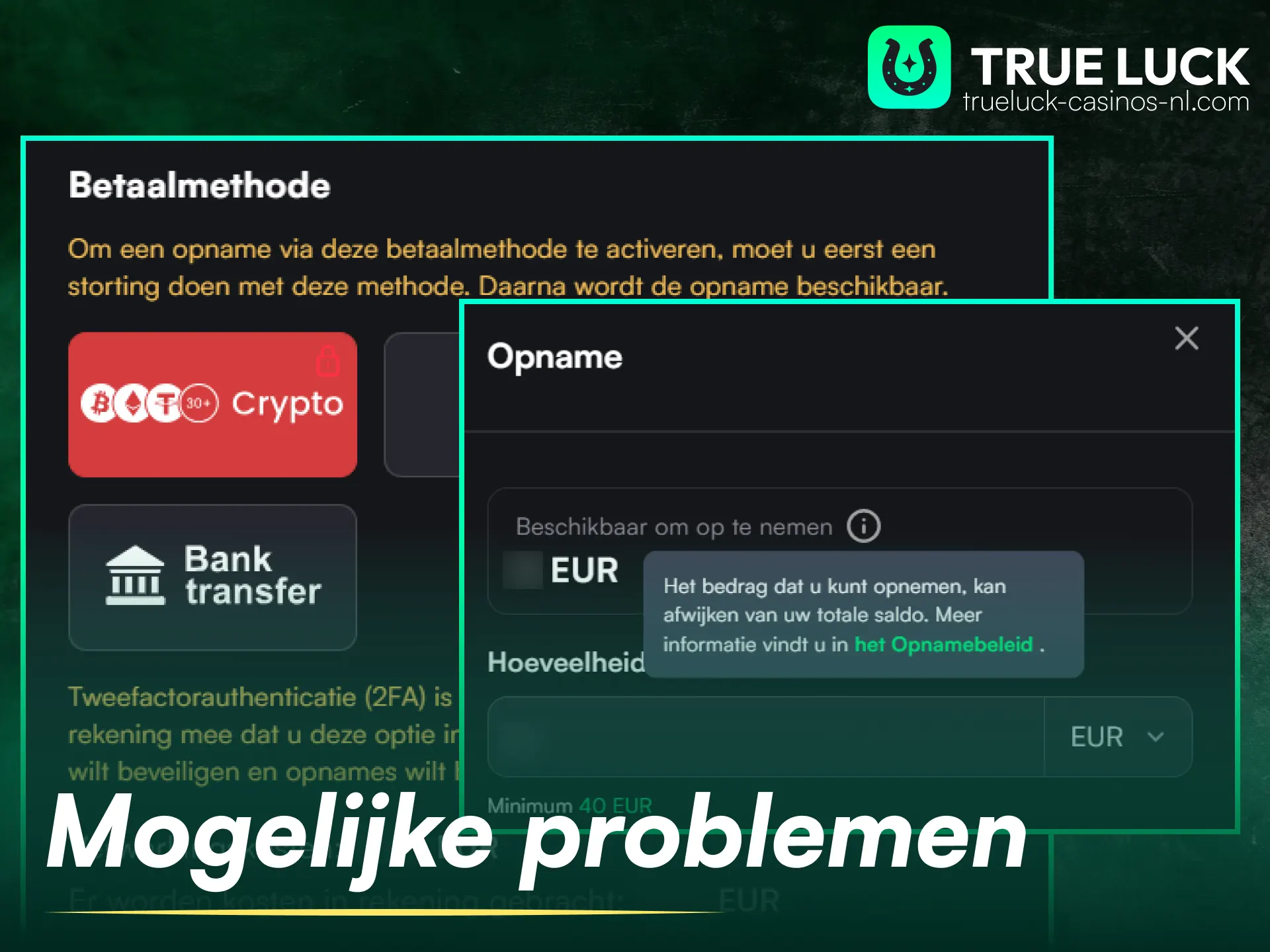 Vind oplossingen voor mogelijke problemen met TrueLuck opnames op de website.