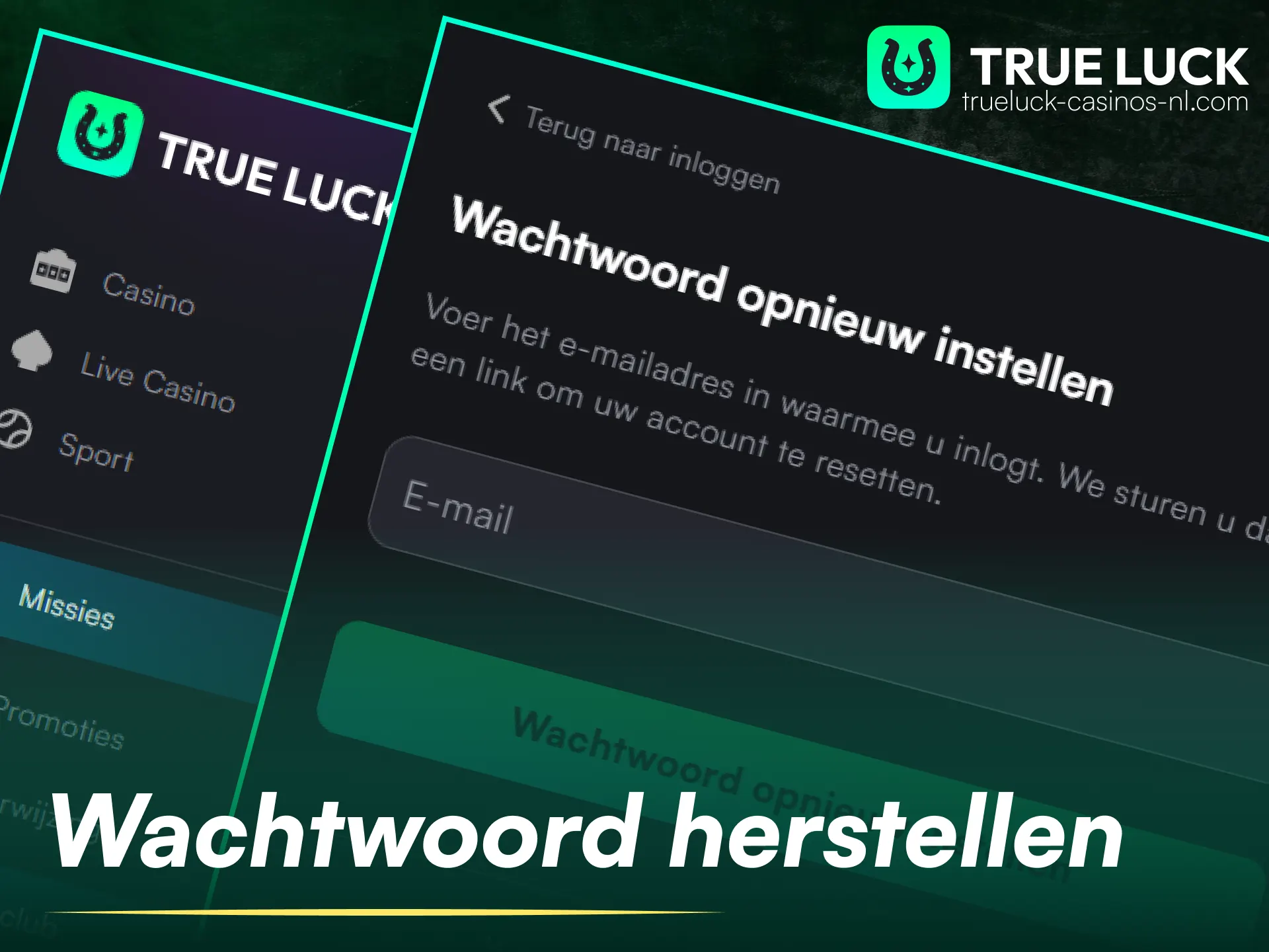 Herstel je inloggegevens met de wachtwoordherstelfunctie van je TrueLuck-account.
